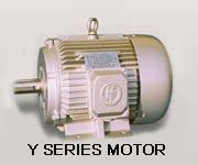 Y Series Three-phase Asynchronous Electric Motor