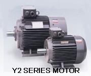 Y2 series three-phase induction motors